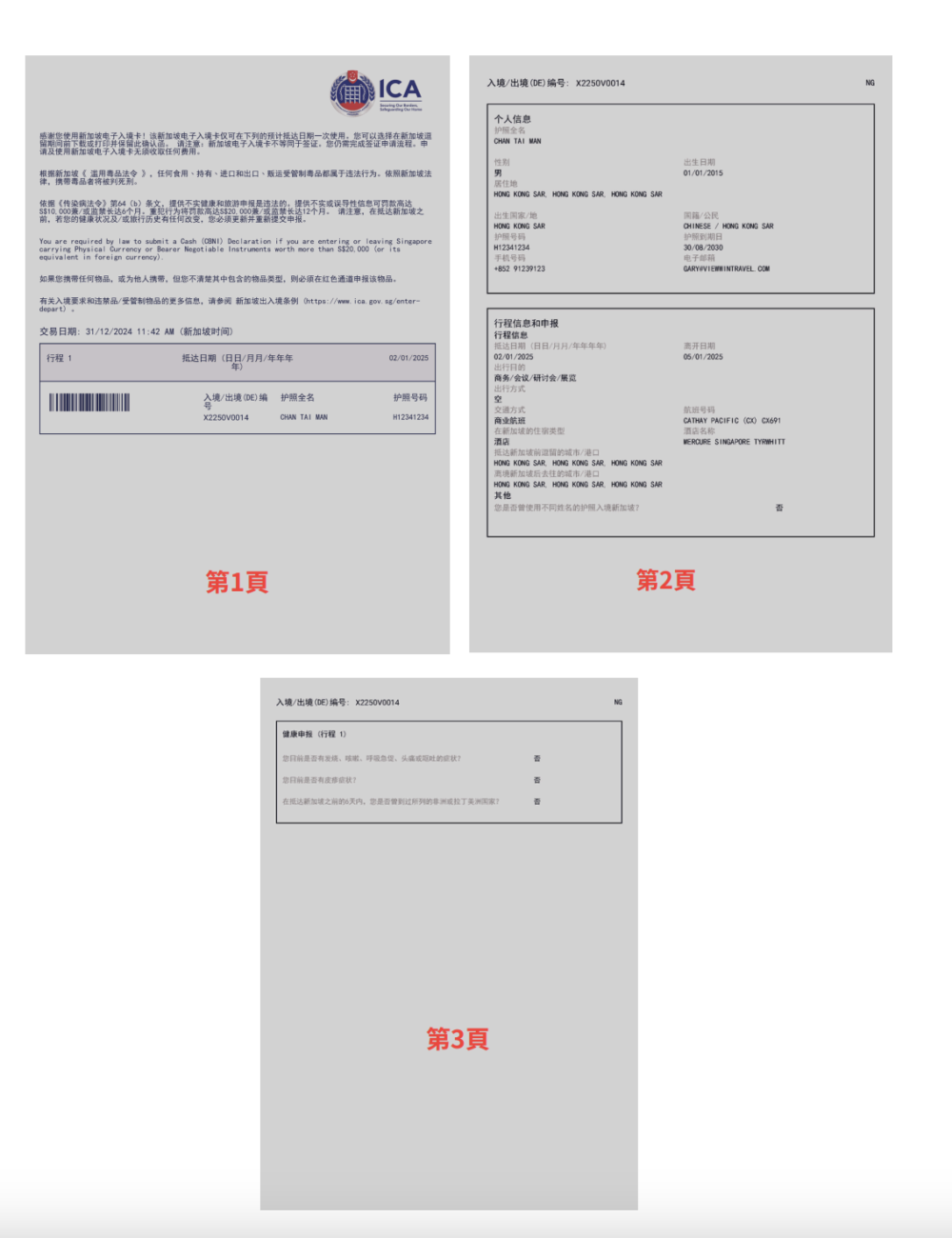 新加坡旅遊入境卡教學｜入境注意事項- GOGOAdvise - Travel 旅遊日記